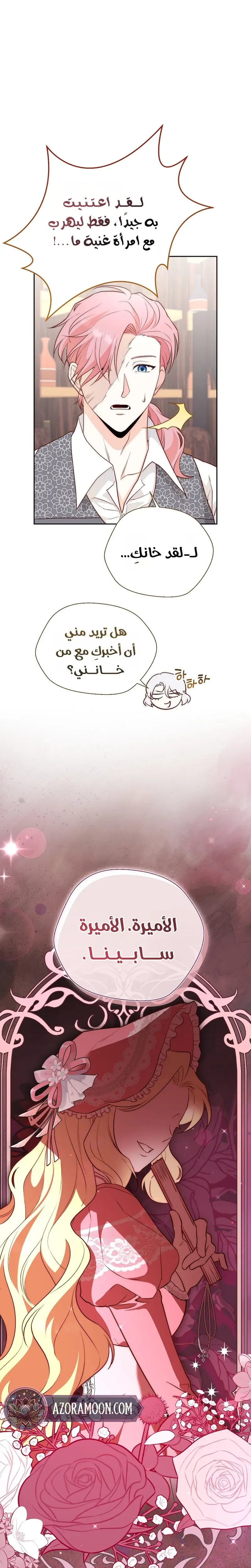 الصفحة 13