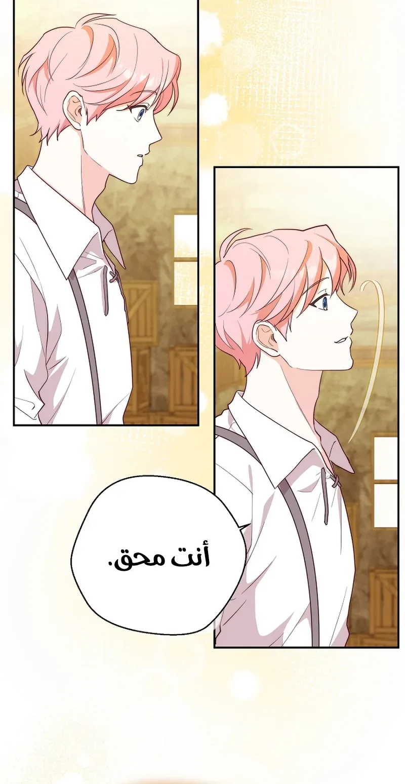 الصفحة 24