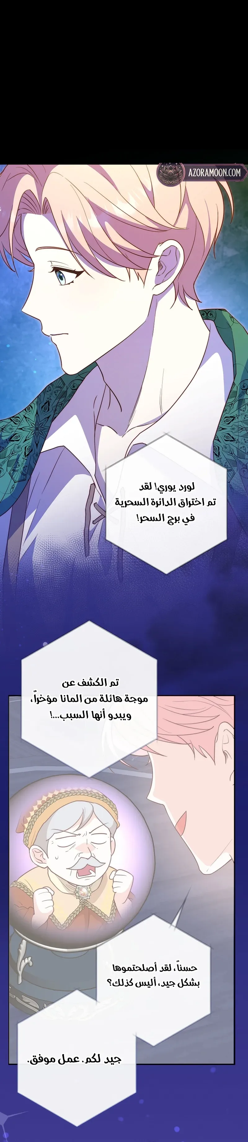 الصفحة 30