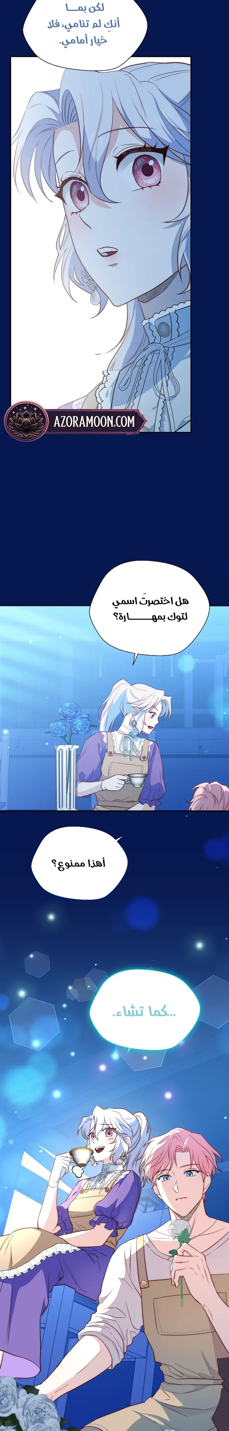 الصفحة 29