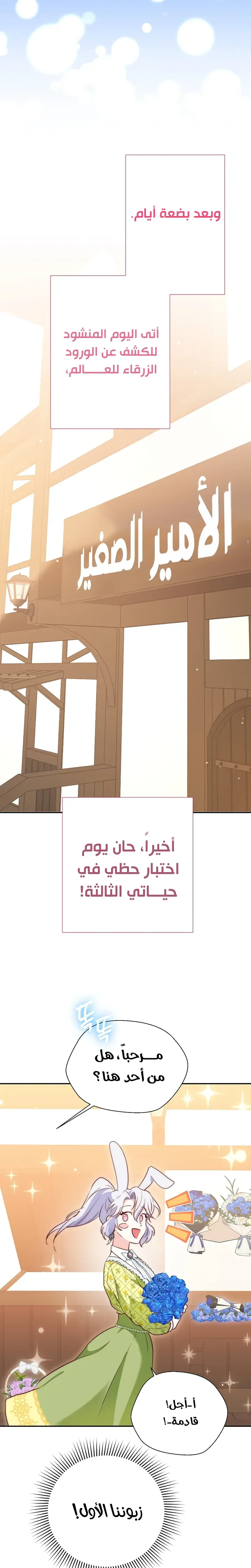 الصفحة 31