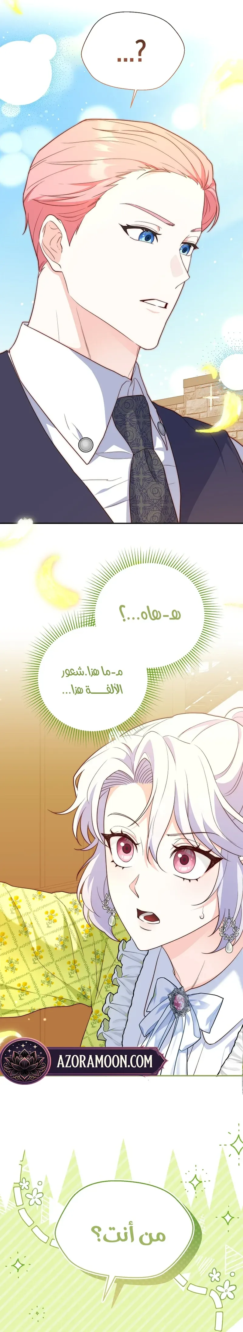 الصفحة 33