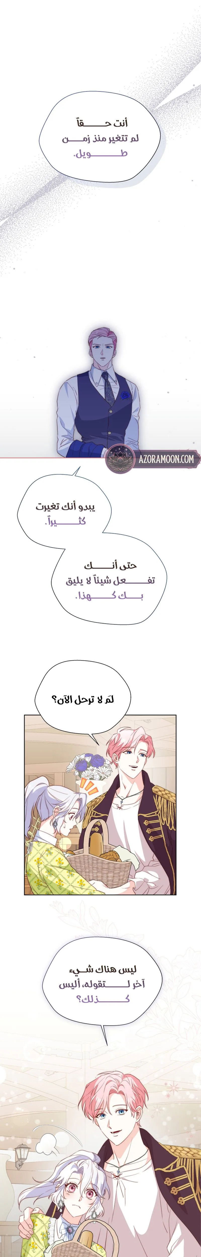 الصفحة 26