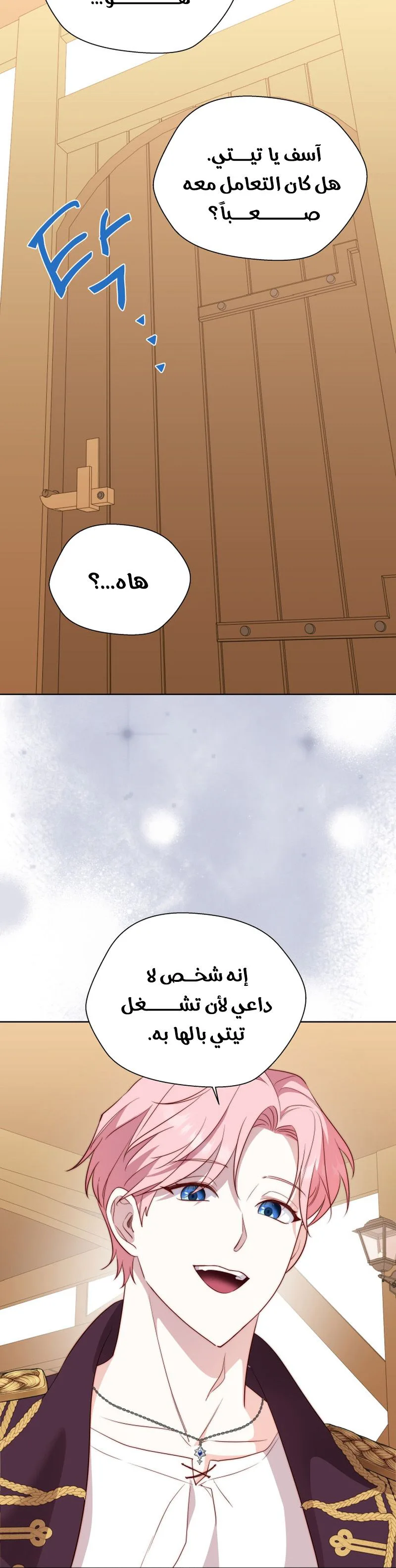 الصفحة 28