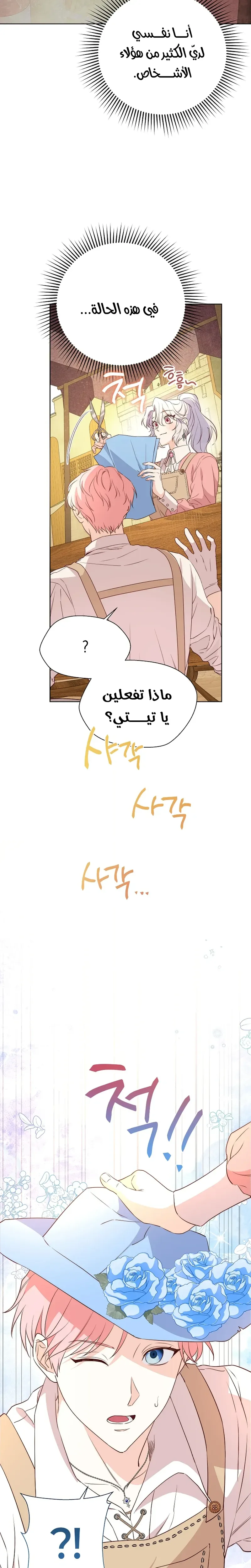 الصفحة 17