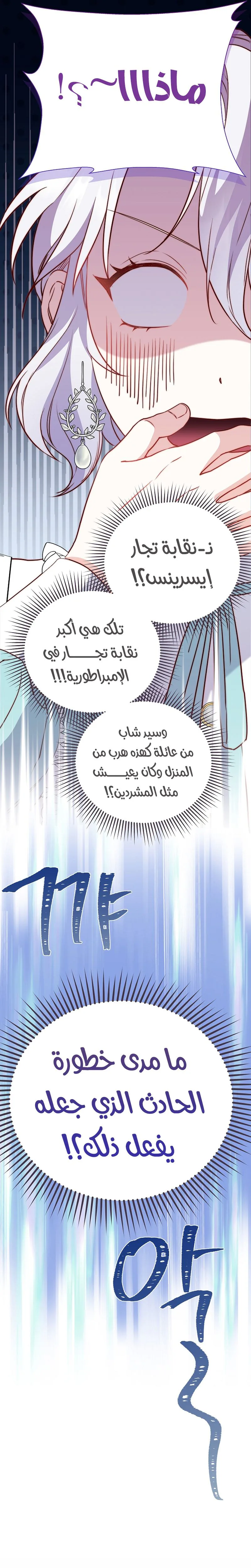 الصفحة 28