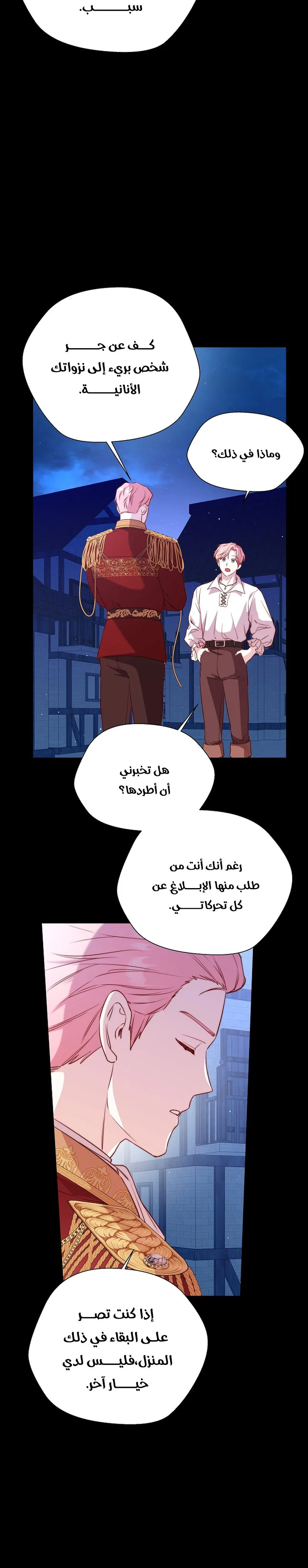 الصفحة 13