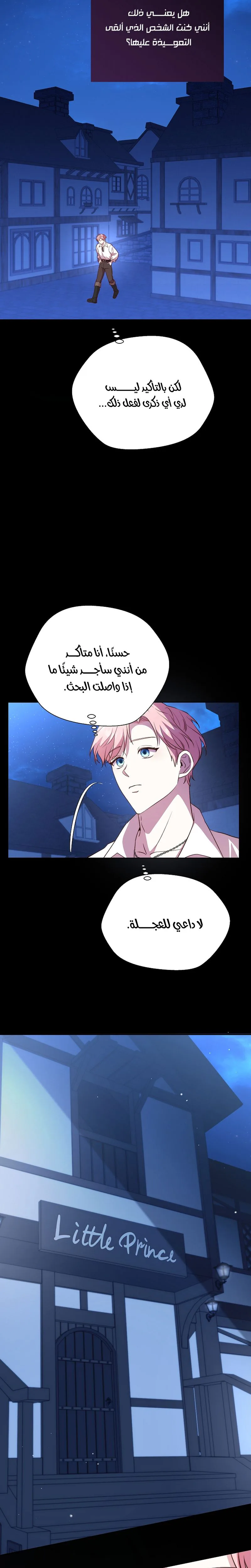 الصفحة 21