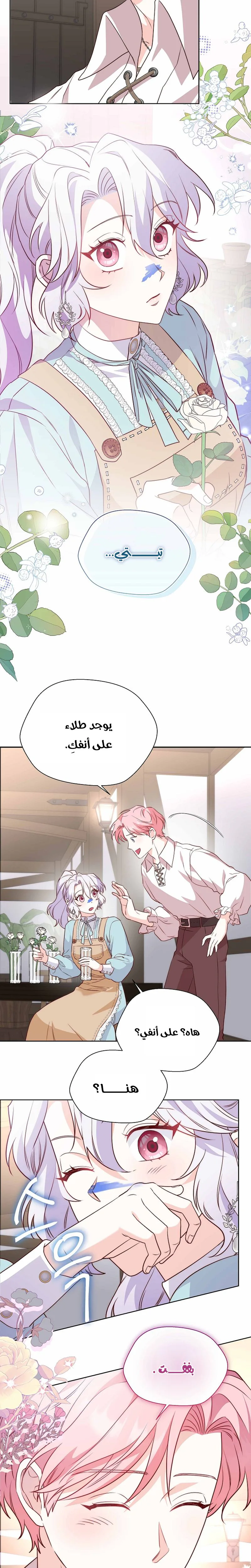 الصفحة 24