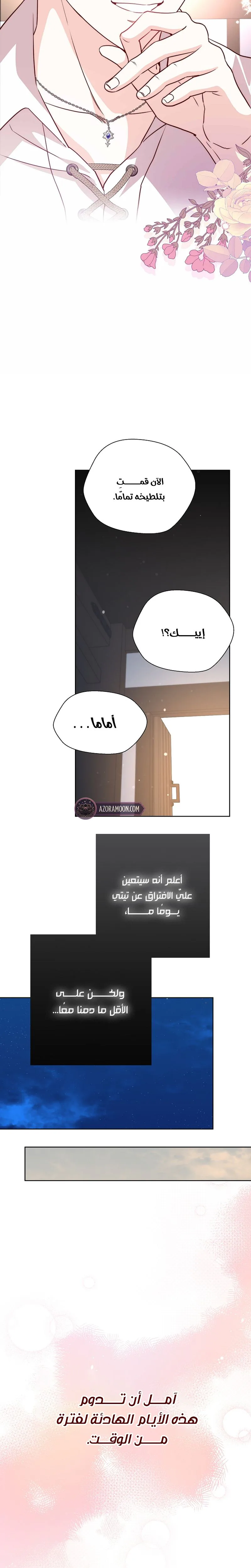 الصفحة 25