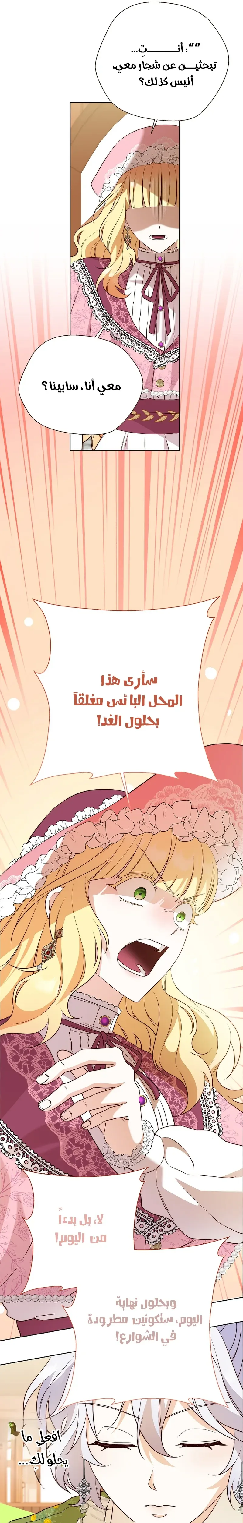 الصفحة 19