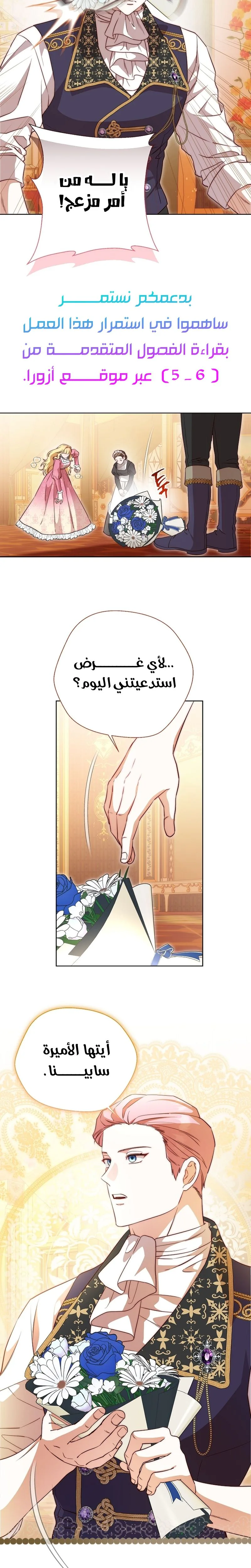 الصفحة 17