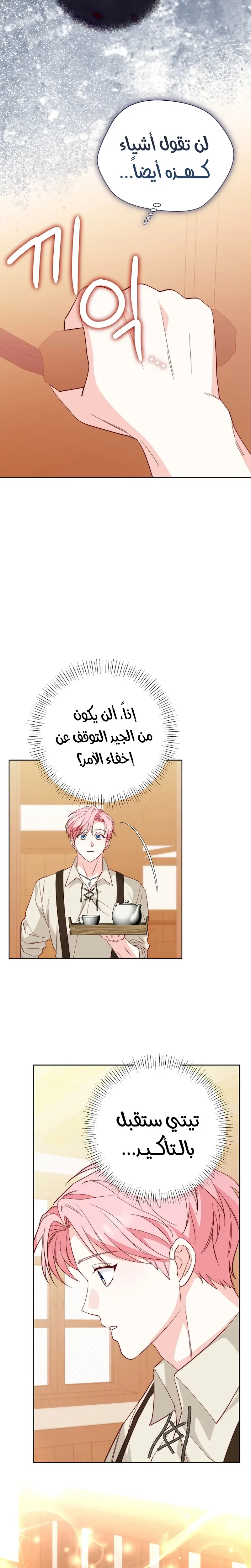 الصفحة 19