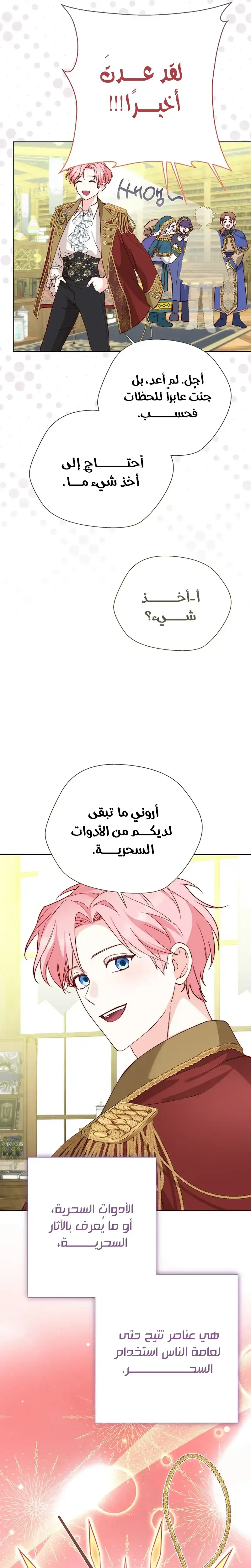 الصفحة 13