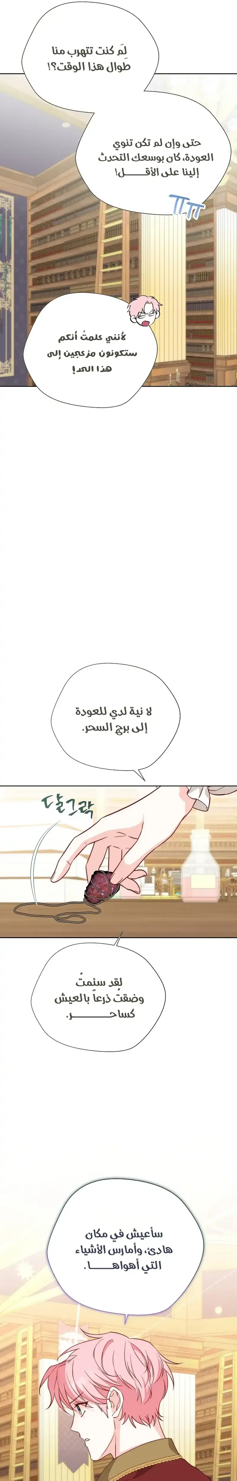 الصفحة 19