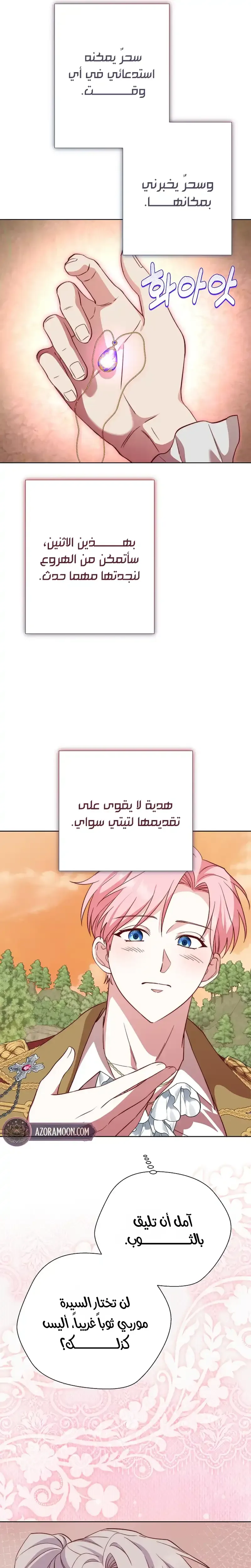 الصفحة 25