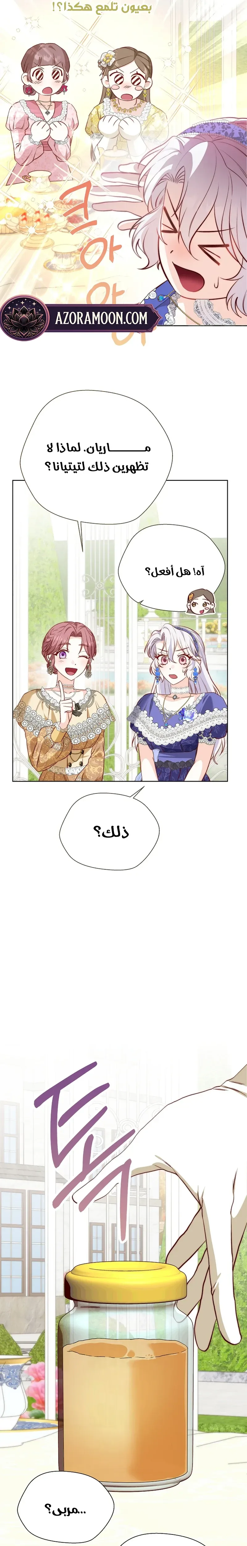 الصفحة 17