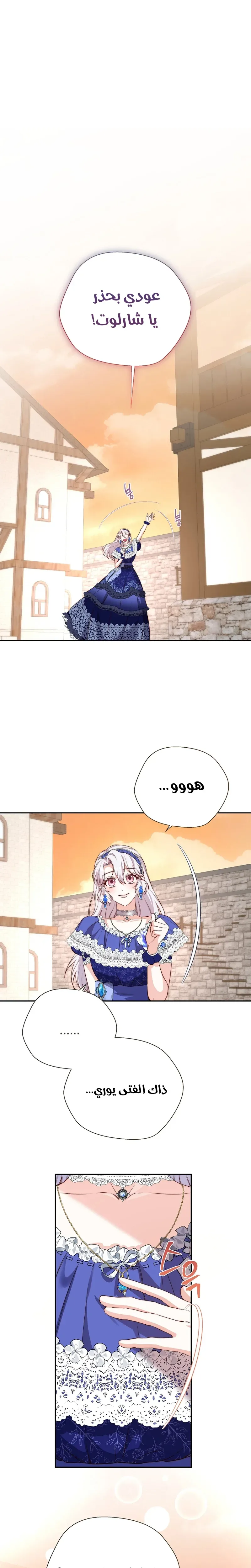 الصفحة 13
