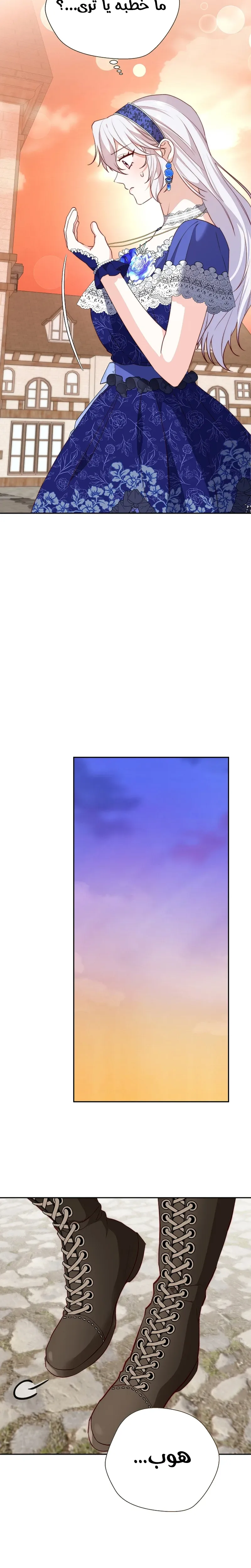 الصفحة 14