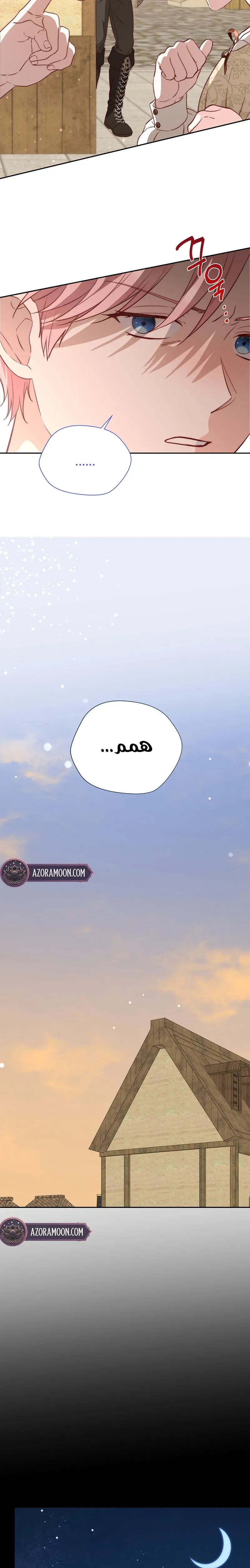 الصفحة 17