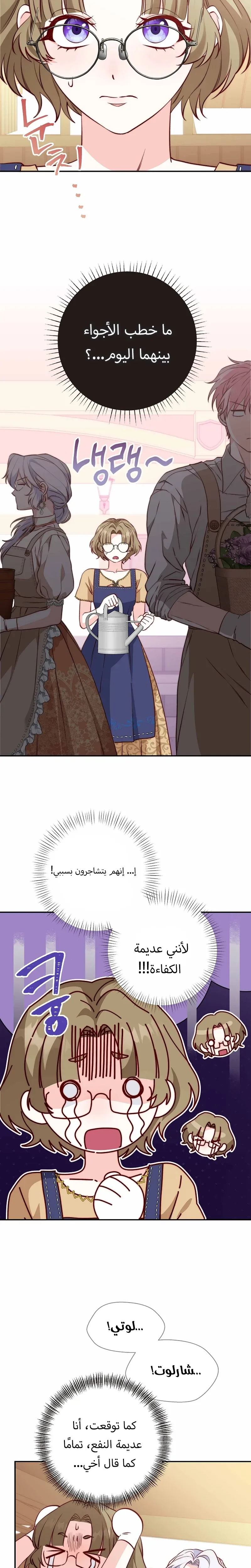 الصفحة 14