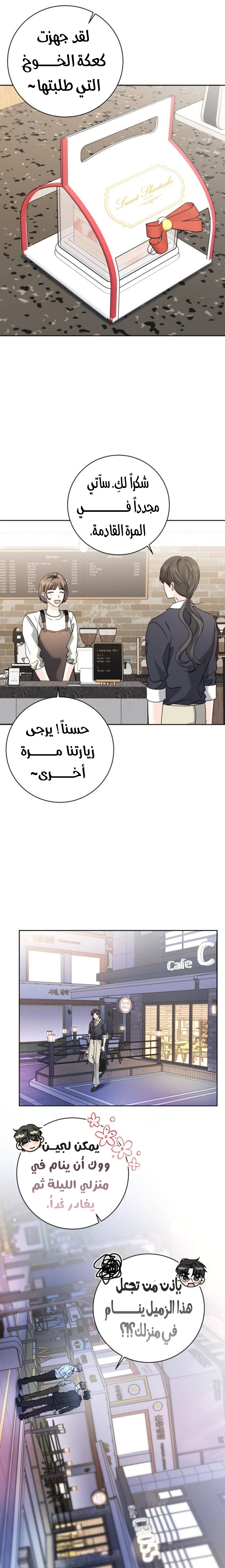 الصفحة 19