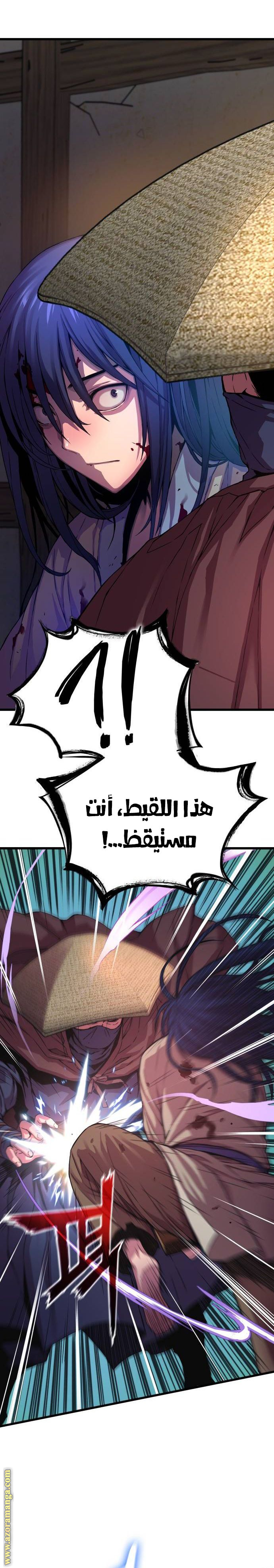 الصفحة 29