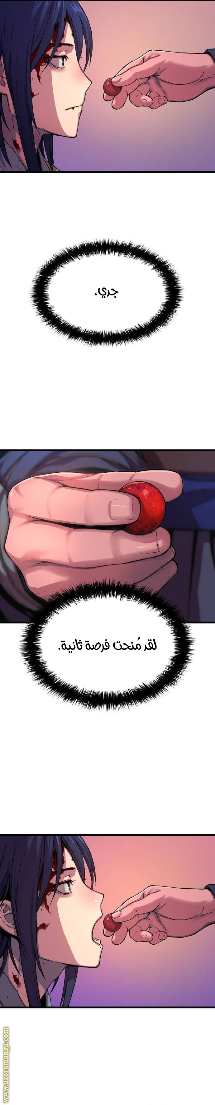 الصفحة 41