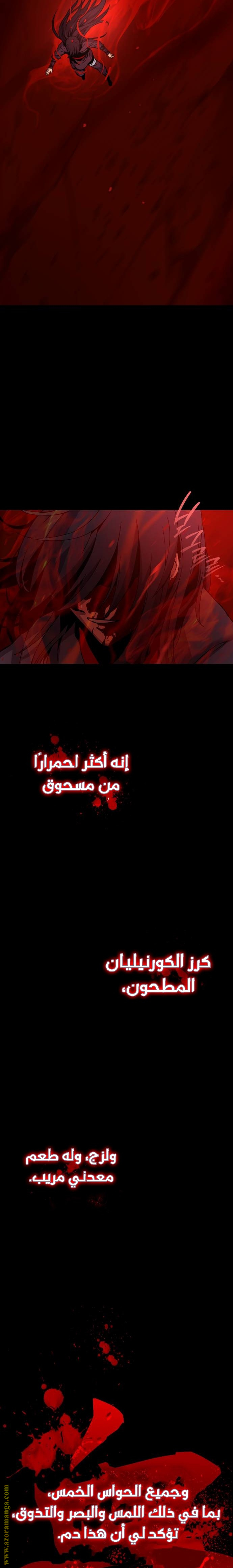 الصفحة 25