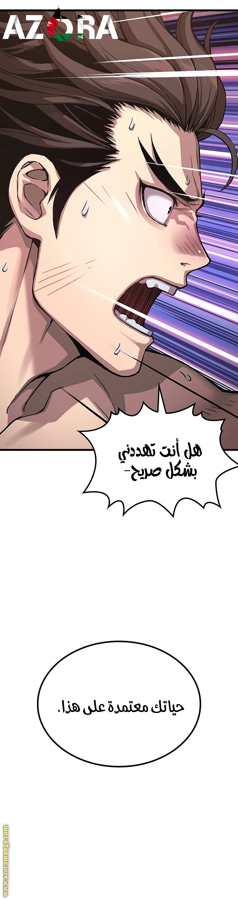 الصفحة 11