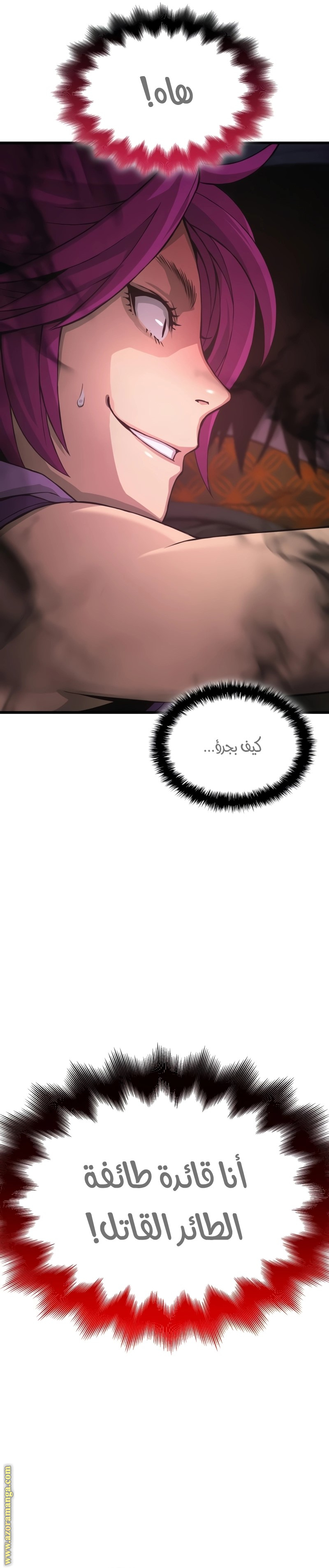 الصفحة 14