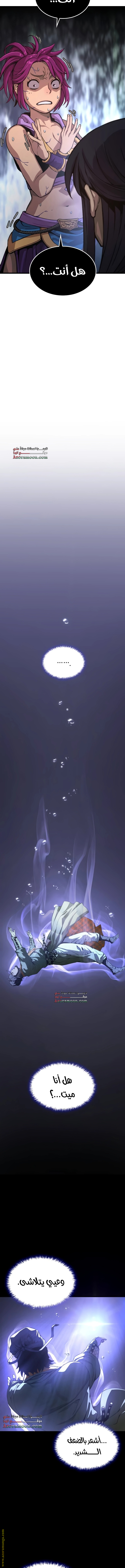 الصفحة 17