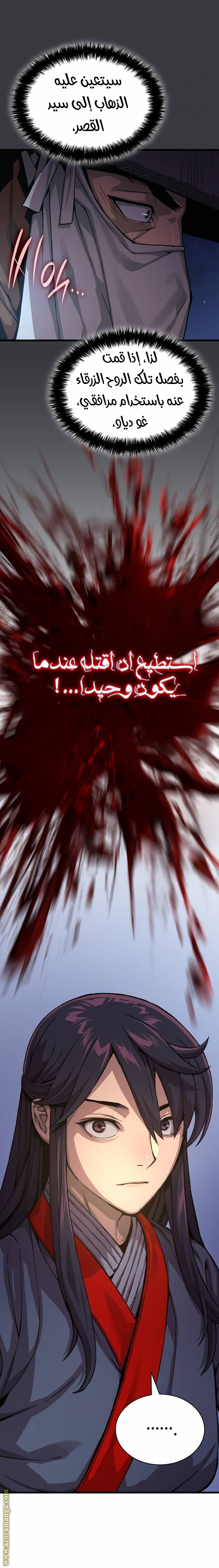الصفحة 17