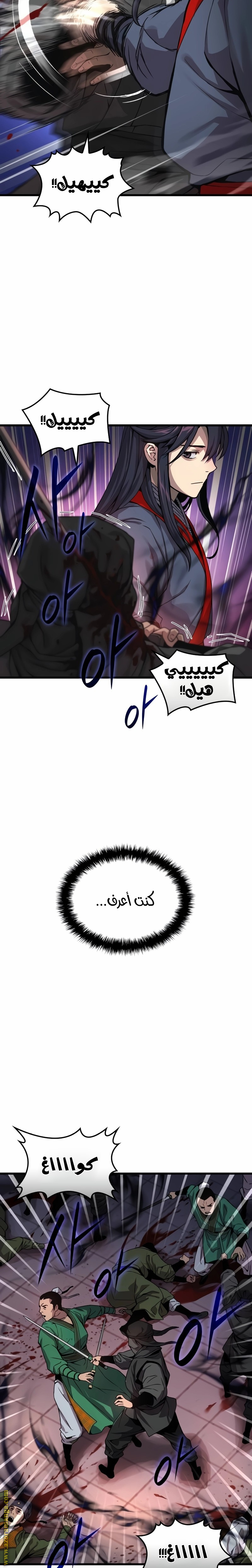 الصفحة 29