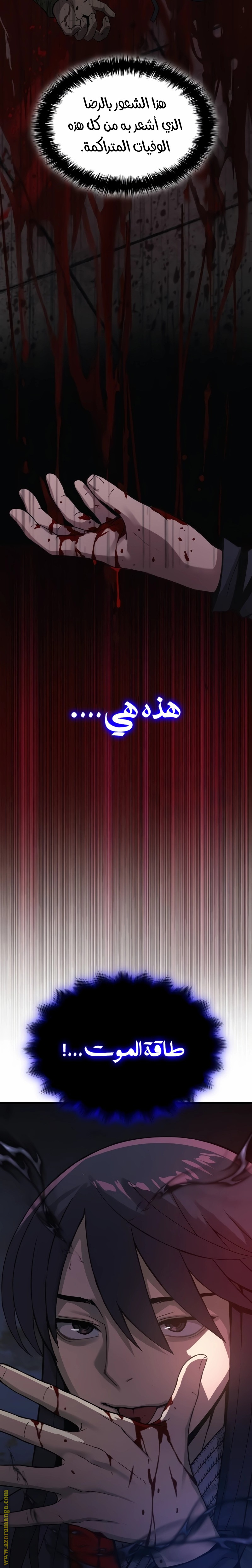 الصفحة 31