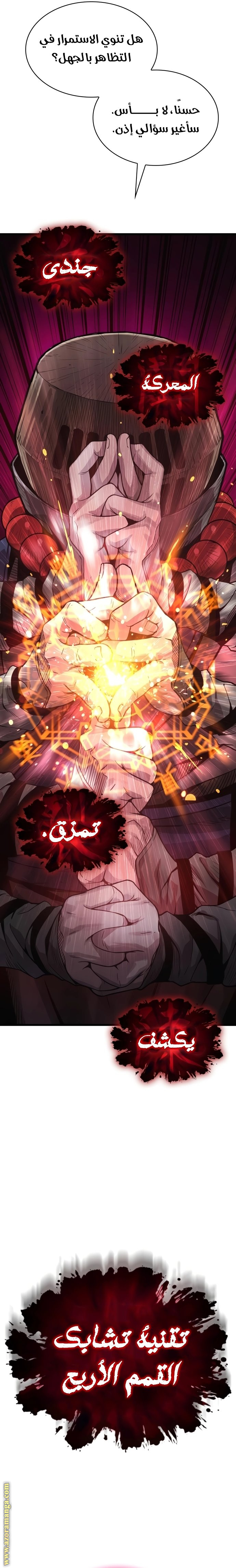 الصفحة 13