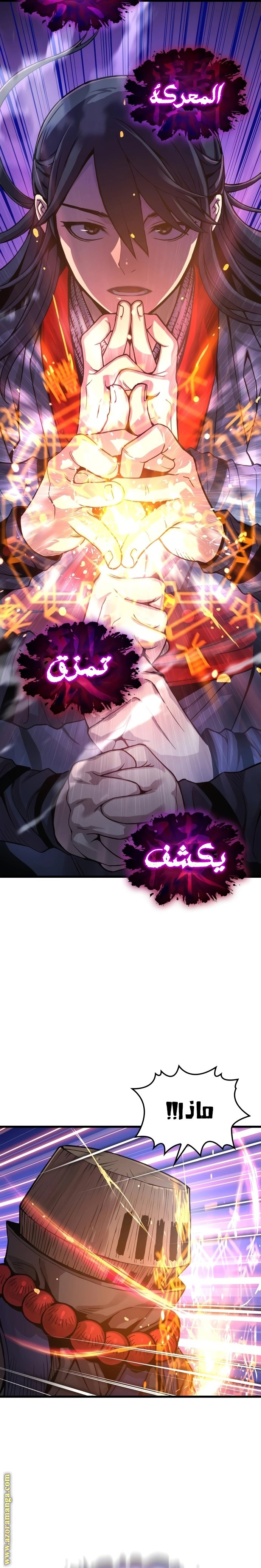 الصفحة 17