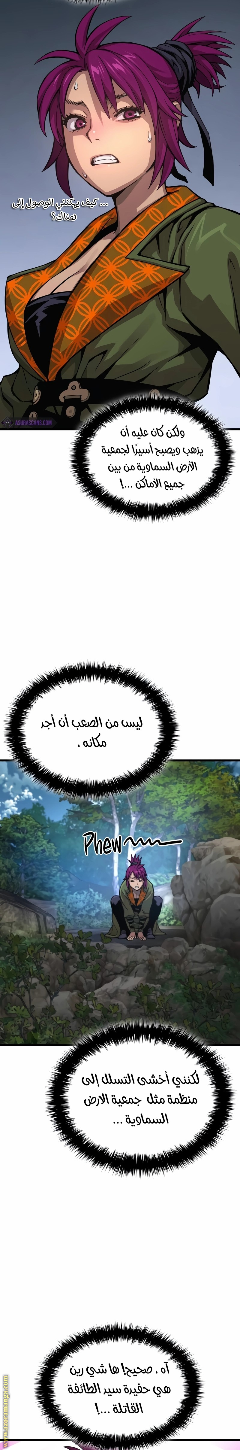 الصفحة 17