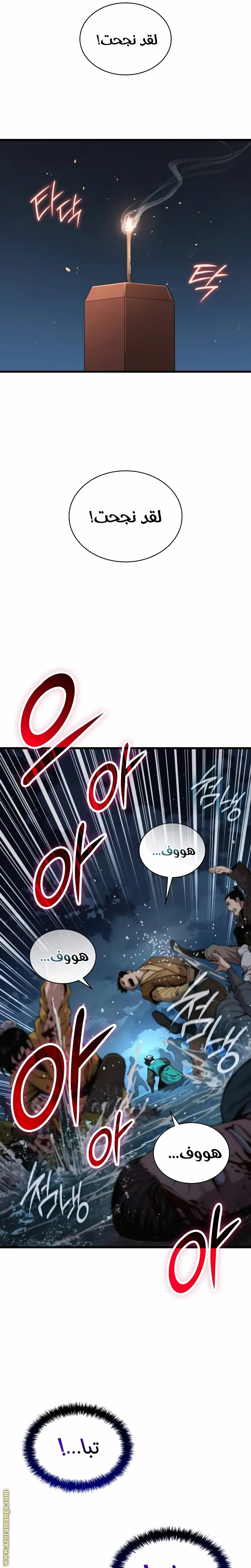 الصفحة 17