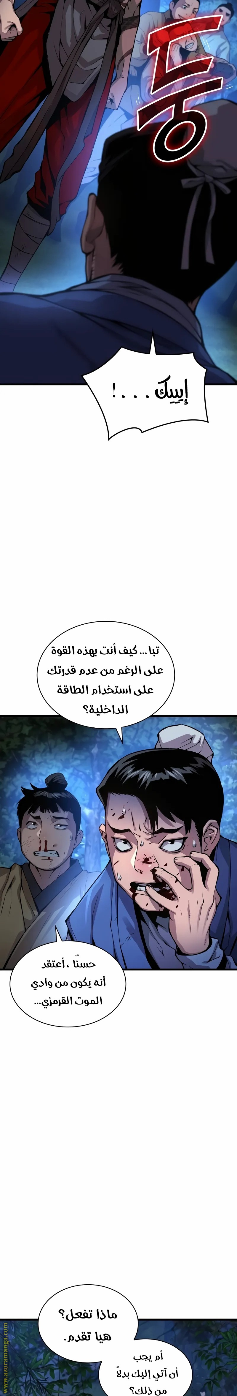 الصفحة 25
