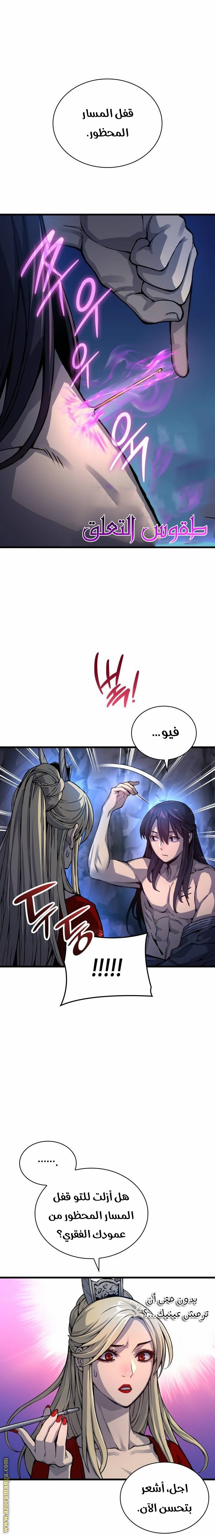 الصفحة 17