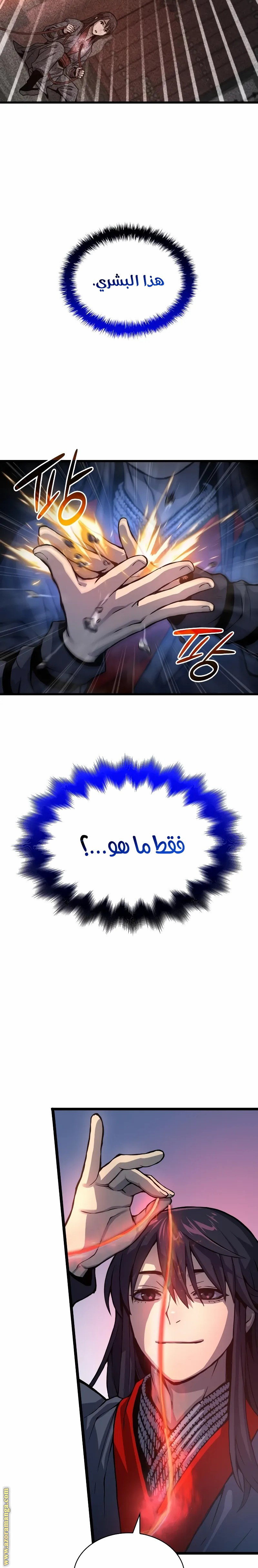الصفحة 31