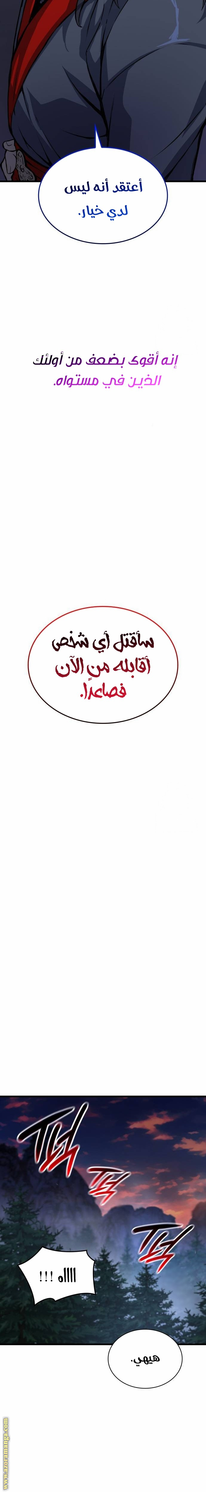 الصفحة 17