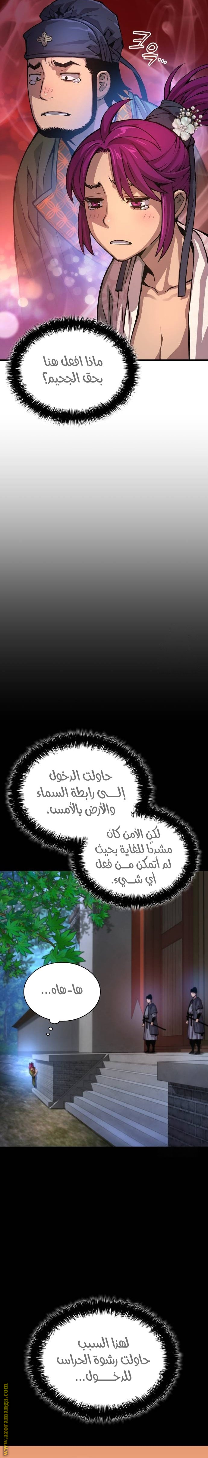 الصفحة 17