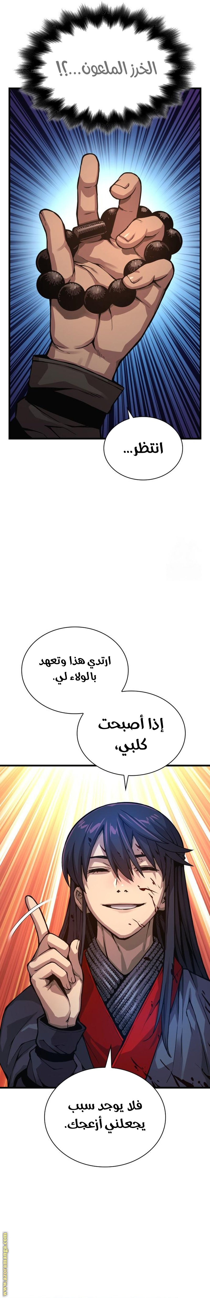 الصفحة 25