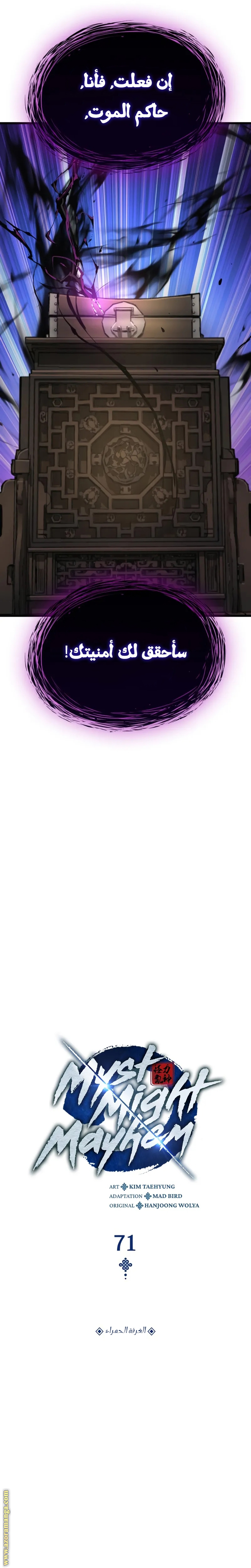الصفحة 17