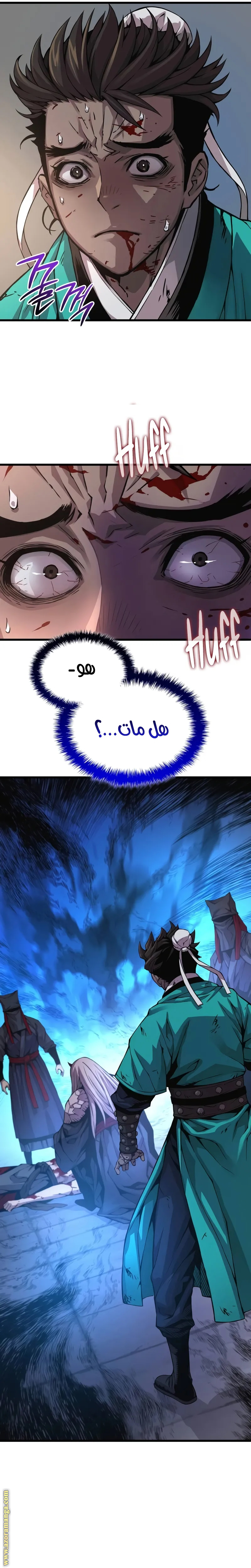الصفحة 17