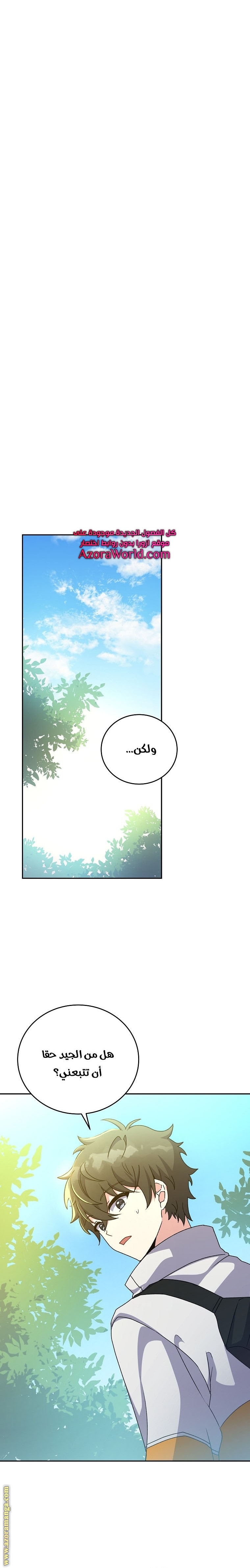الصفحة 17