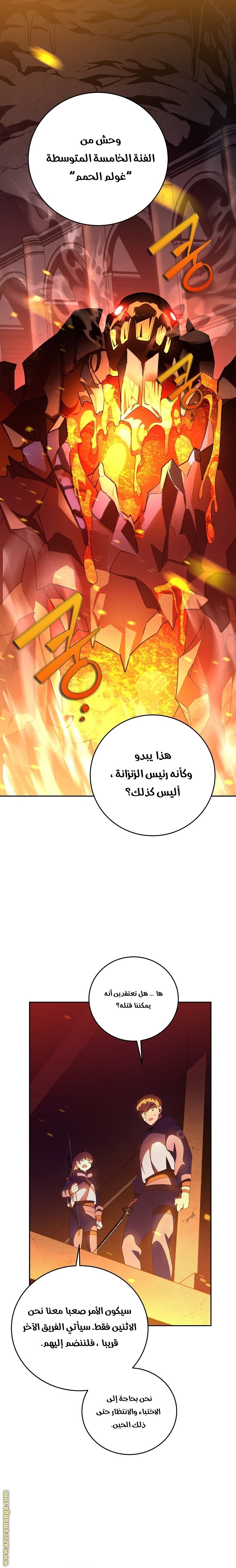الصفحة 17