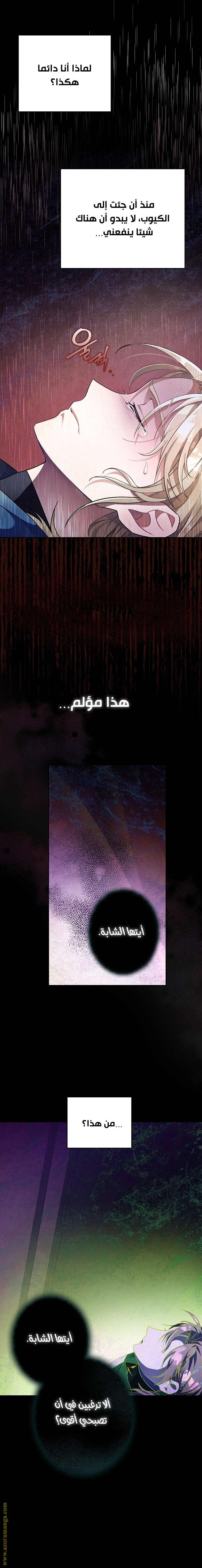 الصفحة 19